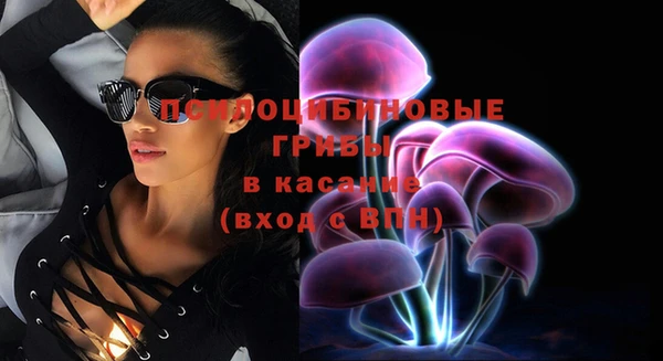 бошки Аркадак