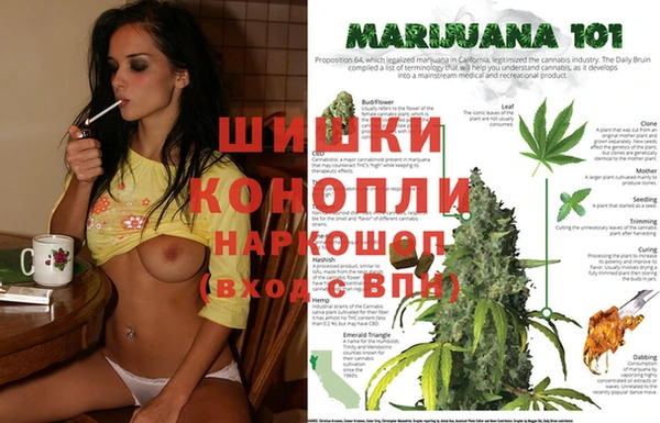 бошки Аркадак
