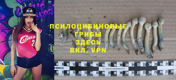 бошки Аркадак