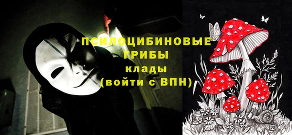 бошки Аркадак