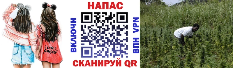 Каннабис MAZAR  даркнет сайт  МЕГА ТОР  Спасск-Рязанский 